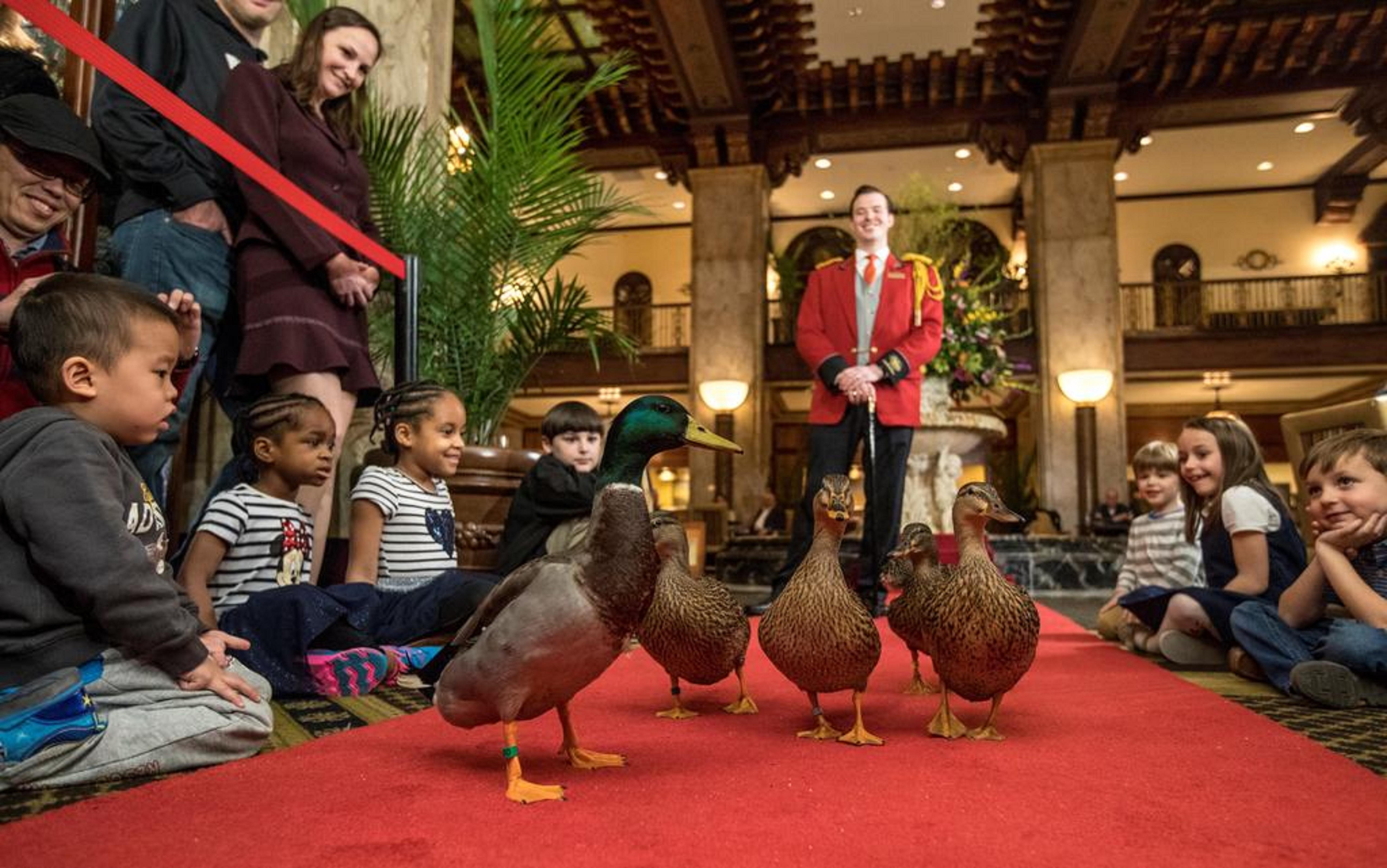 Peabody Memphis Hotel Kültér fotó